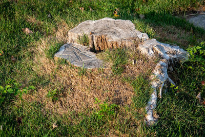 High angle view of rocks on land