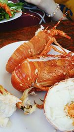 High angle view of cooked lobsters in plate