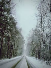 Road amidst trees against sky during winter