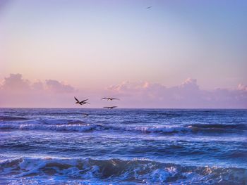 Silhouette birds flying over sea against clear sky