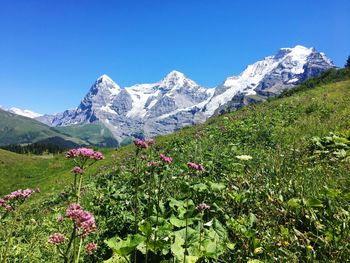 Scenic view of mountains against blue sky