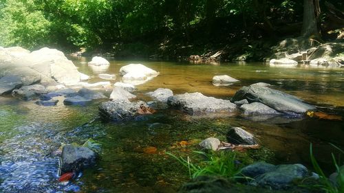 Stream flowing through rocks in forest