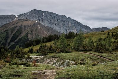 Scenic view of landscape and mountains against sky