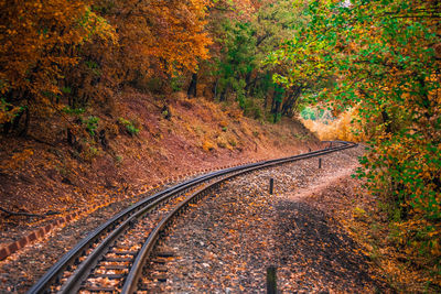 Railroad track amidst trees during autumn
