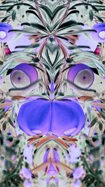 Close-up of colorful objects