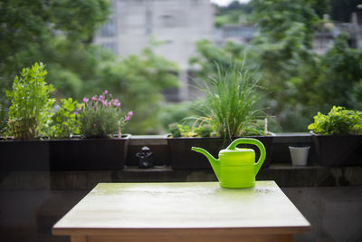 Watering cane on table against plants