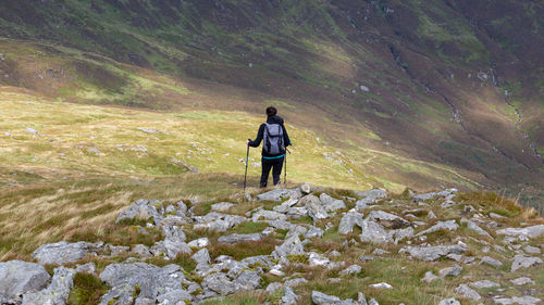 Rear view of man standing on mountain