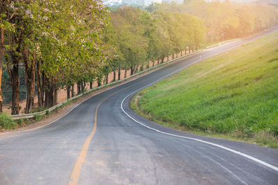 View of empty road amidst trees and grassy field