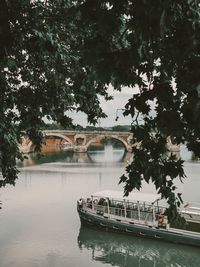 Bridge over river against trees