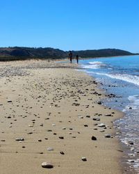 People on beach against clear sky