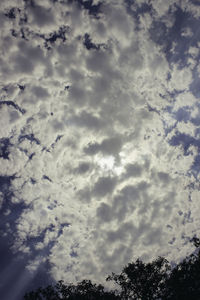 Low angle view of trees against sky