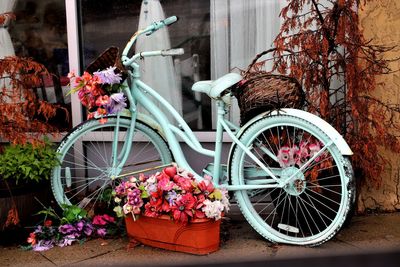 Potted plants on bicycle against wall