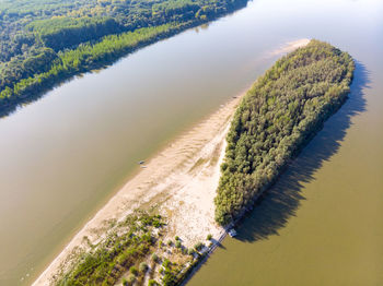 High angle view of plant on beach