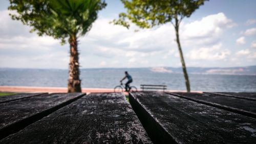 Man on tree by sea against sky