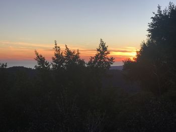 Silhouette trees on landscape against sky during sunset