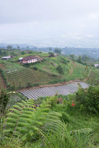 High angle view of houses on field against sky