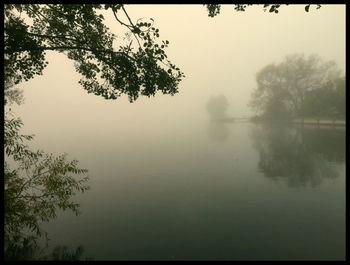 Reflection of trees in lake