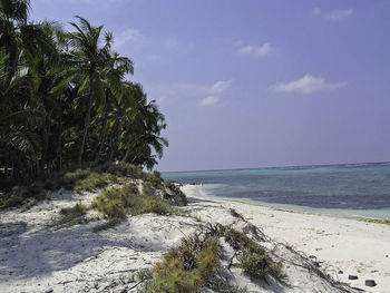 Scenic view of beach against sky