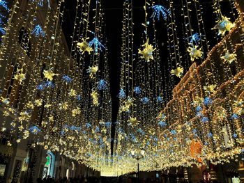 Low angle view of illuminated trees