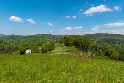 Scenic view of field against sky