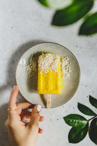 High angle view of ice cream in plate