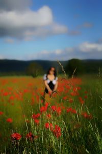 Scenic view of flowering plants on field against sky