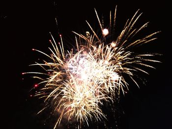 Low angle view of firework display against sky at night