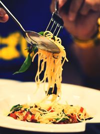 Close-up of hand feeding in plate