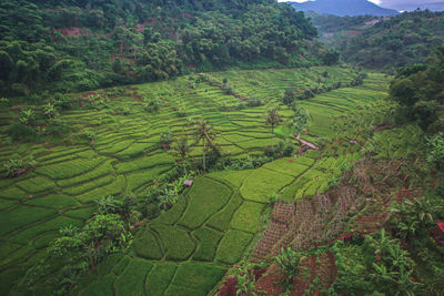 Panorama of west java