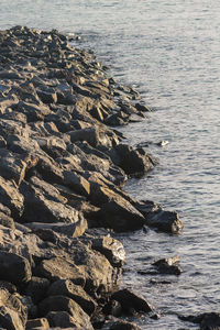 Aerial view of sea at beach