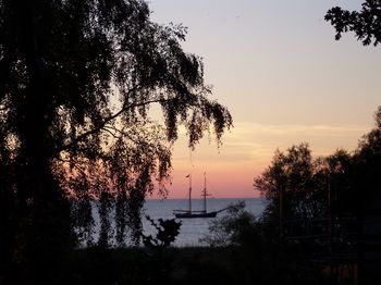 Silhouette trees by sea against sky during sunset