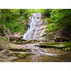Stream flowing through a forest