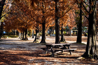 Empty bench in park