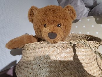teddy bear