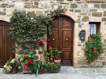 Street view in one of the villages in val dorcia valley.wooden door, ivy climbing wall.tuscany,italy