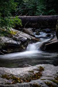 Scenic view of waterfall in forest