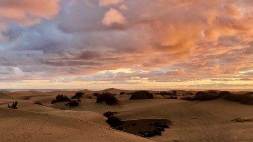 Scenic view of desert against sky during sunset