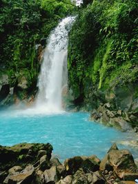 View of waterfall in forest