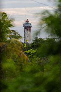 Lighthouse amidst trees and buildings against sky