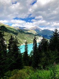 Scenic view of pine trees and mountains against sky
