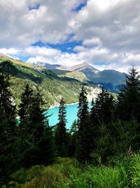 Scenic view of pine trees and mountains against sky