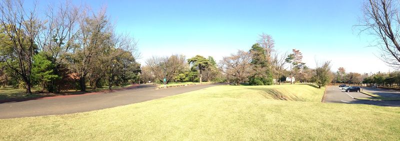 Empty road against clear blue sky