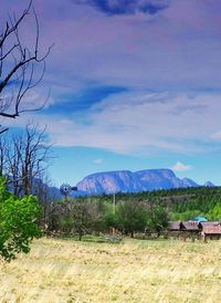 Scenic view of landscape against sky