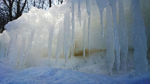 Close-up of frozen ice