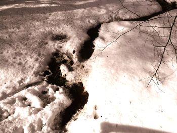 High angle view of bare trees on land