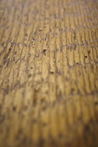 Detail shot of wood