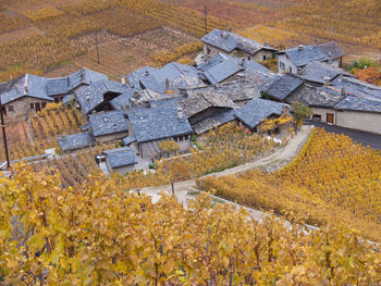 Houses on hill