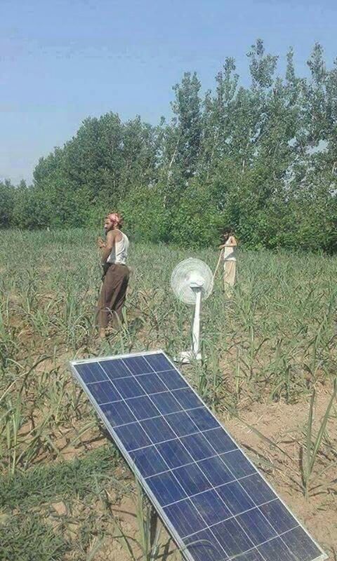 solar panel, solar energy, fuel and power generation, environmental conservation, tree, day, alternative energy, field, nature, sky, outdoors, animal themes, grass, real people, mammal