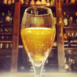 Close-up of beer in glass
