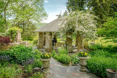 View of trees and plants